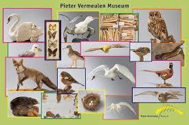 Pieter Vermeulen Museum